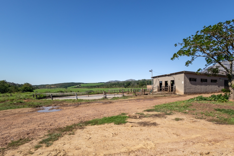 0 Bedroom Property for Sale in Kareedouw Eastern Cape